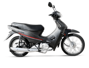 ZB GRIS LE 1 All Road