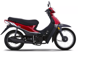 zb le roja 1 All Road