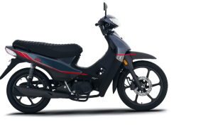 ZB NEGRA All Road