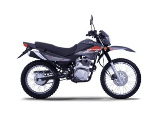 zt gris All Road